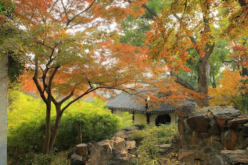 Lingering Garden